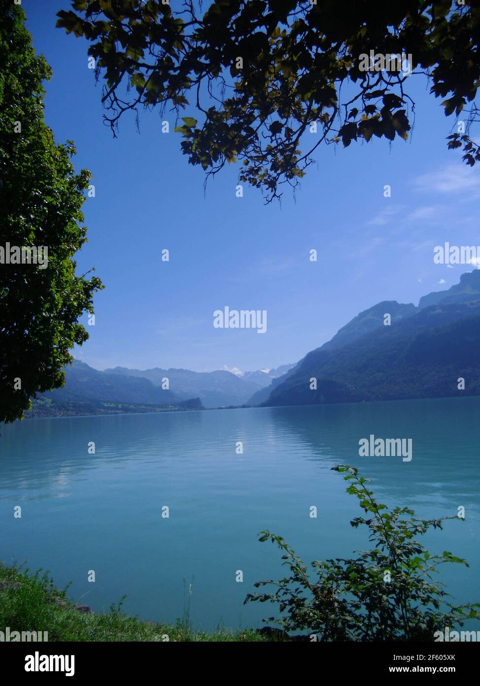beautiful lake brienz in Interlaken switzerland with mountains in ...