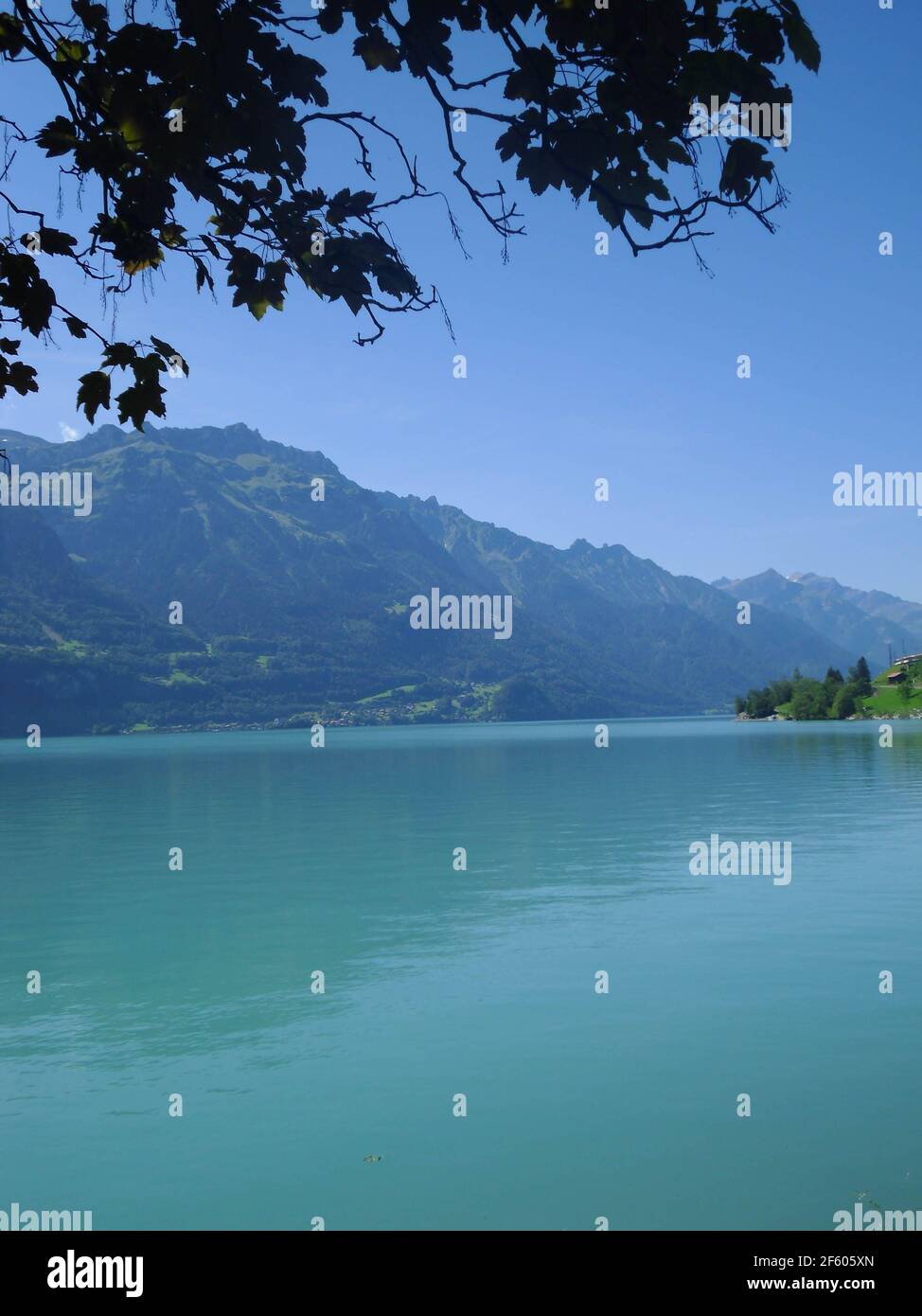 beautiful lake brienz in Interlaken switzerland with mountains in ...