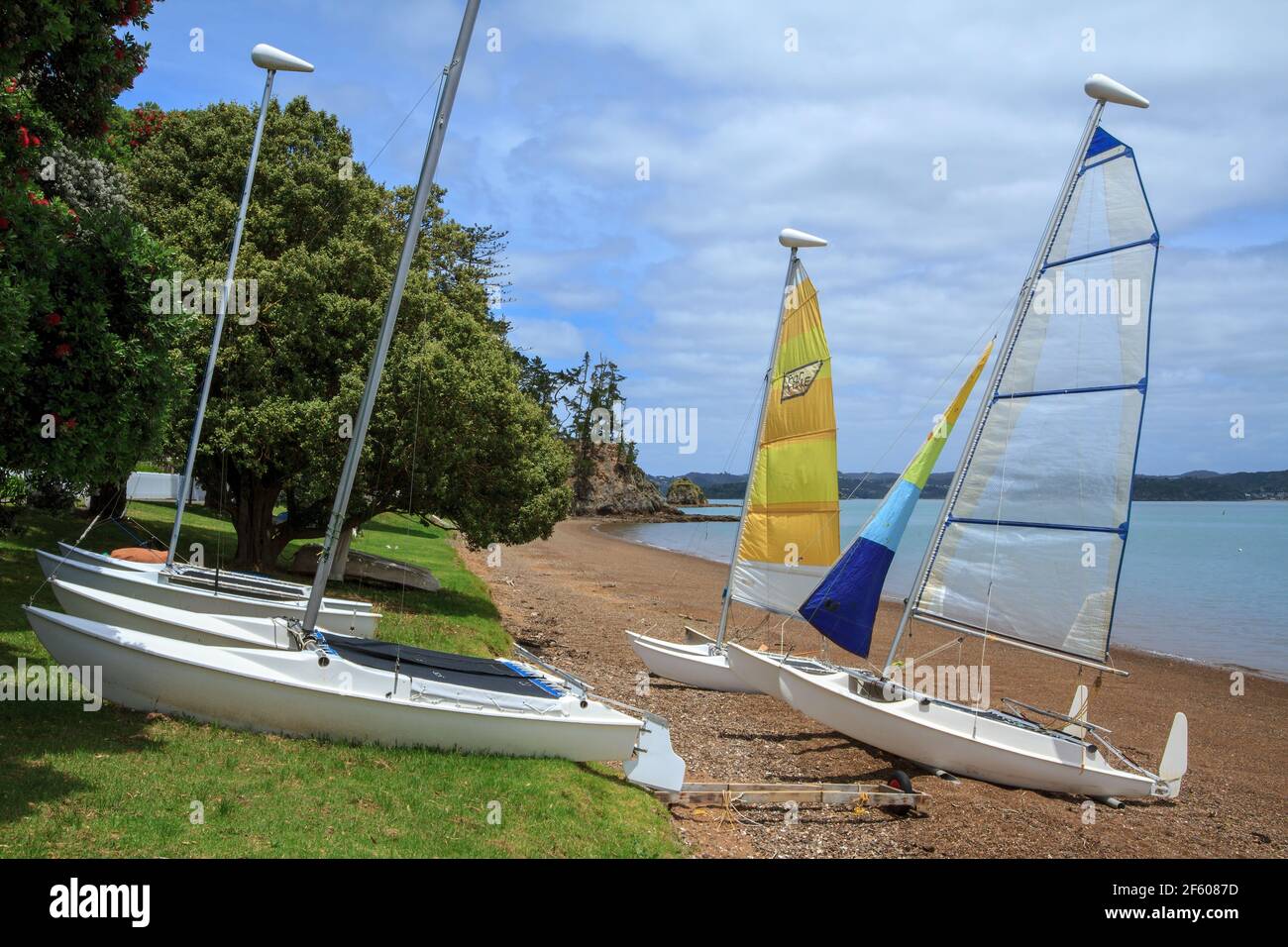 A group of sailing catamarans on the beach at Russell in the Bay of