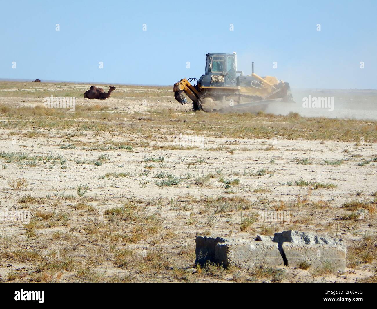 Bulldozer in the steppes level the site. Kazakhstan. Oil field. Mangistau region. 17 August , 2019 year. Stock Photo