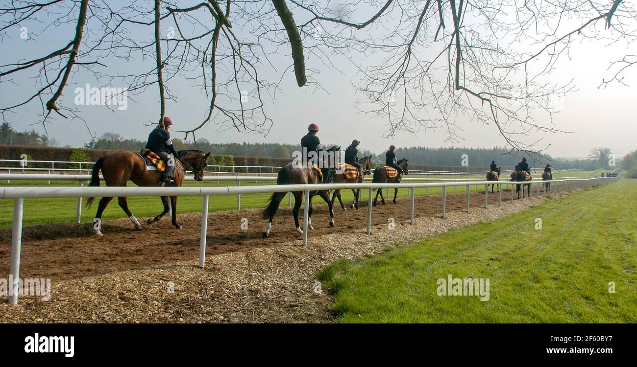 BALLYDOYLE STABLES IN IRELAND 25/4/2005 PICTURE DAVID ASHDOWNRACING Stock Photo