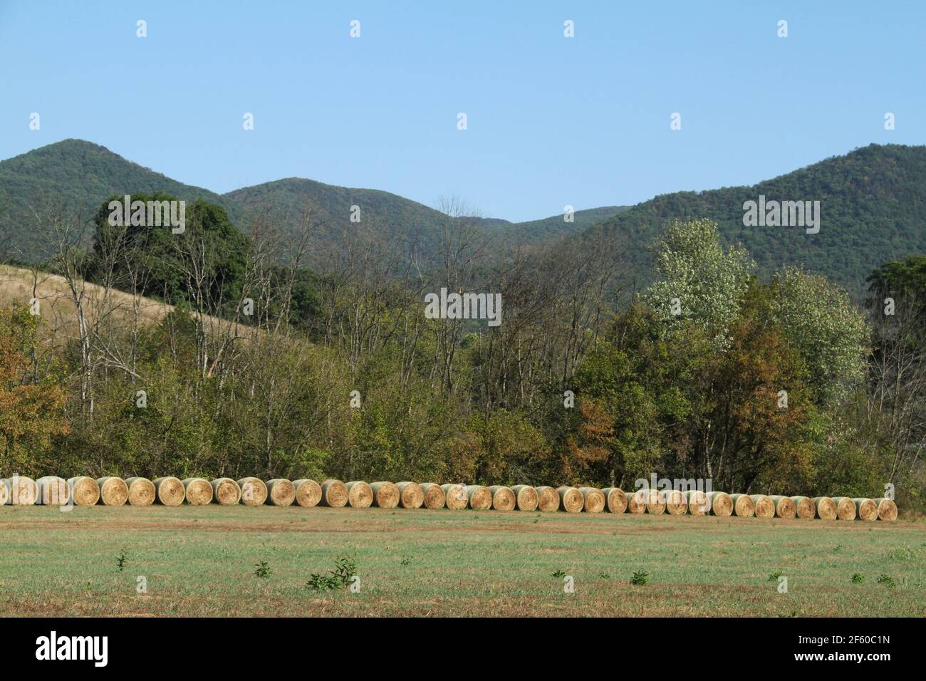 Farmland in Virginia's Blue Ridge Mountains, USA Stock Photo - Alamy