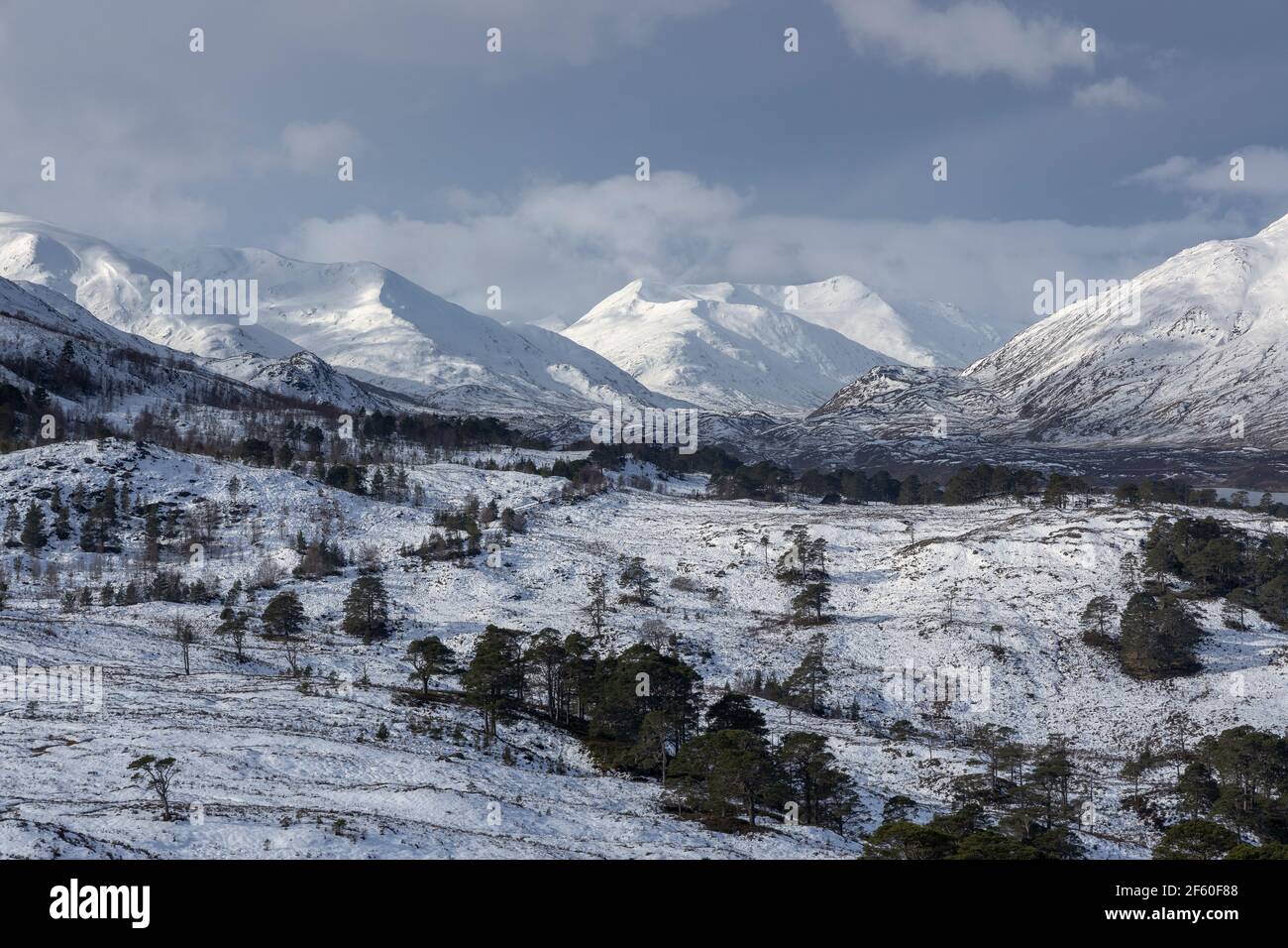 The mountains of Glen Affric and the Affric Kintail Way in winter. Glen Affric, Highland, Scotland Stock Photo