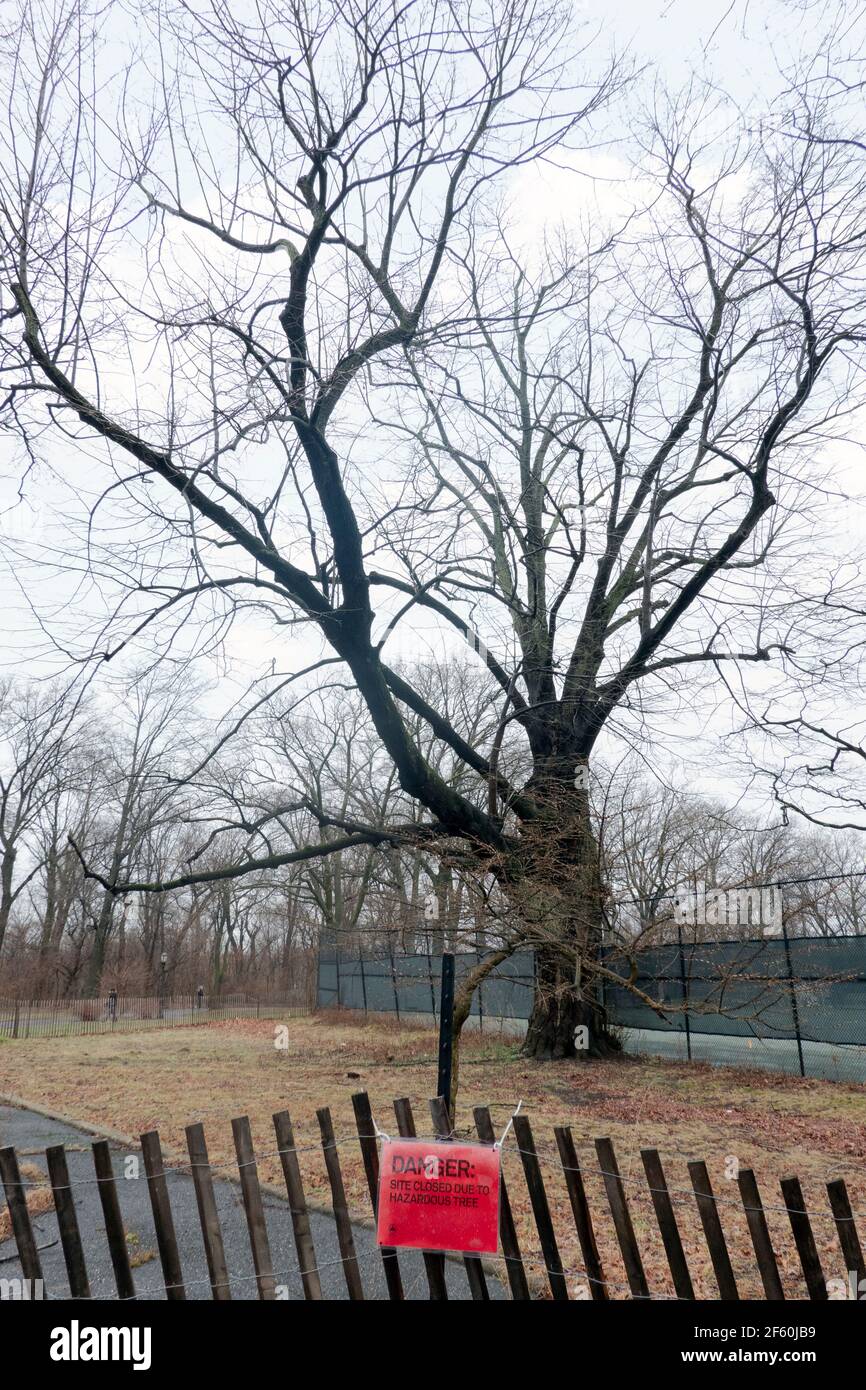 A closed path in a Queens park due to the danger of a hazerdous tree. In Kissena Park, Flushing, New York City. Stock Photo