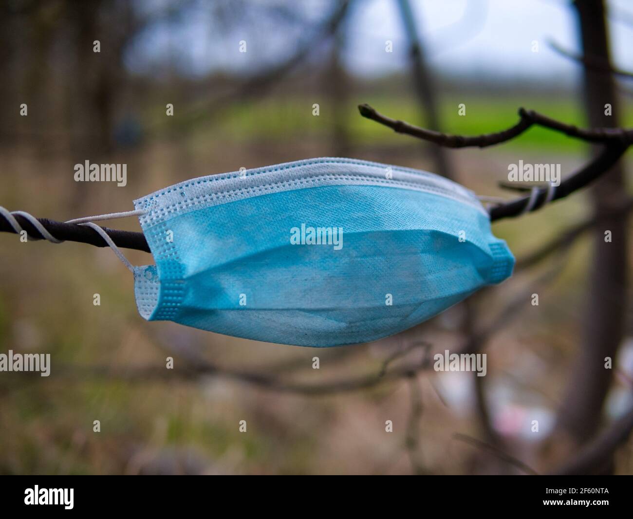 A used, blue surgical mask used for COVID-19 PPE protection, discarded ...