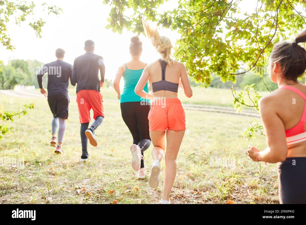 Group of friends does a cross-country run in nature for fitness and endurance Stock Photo