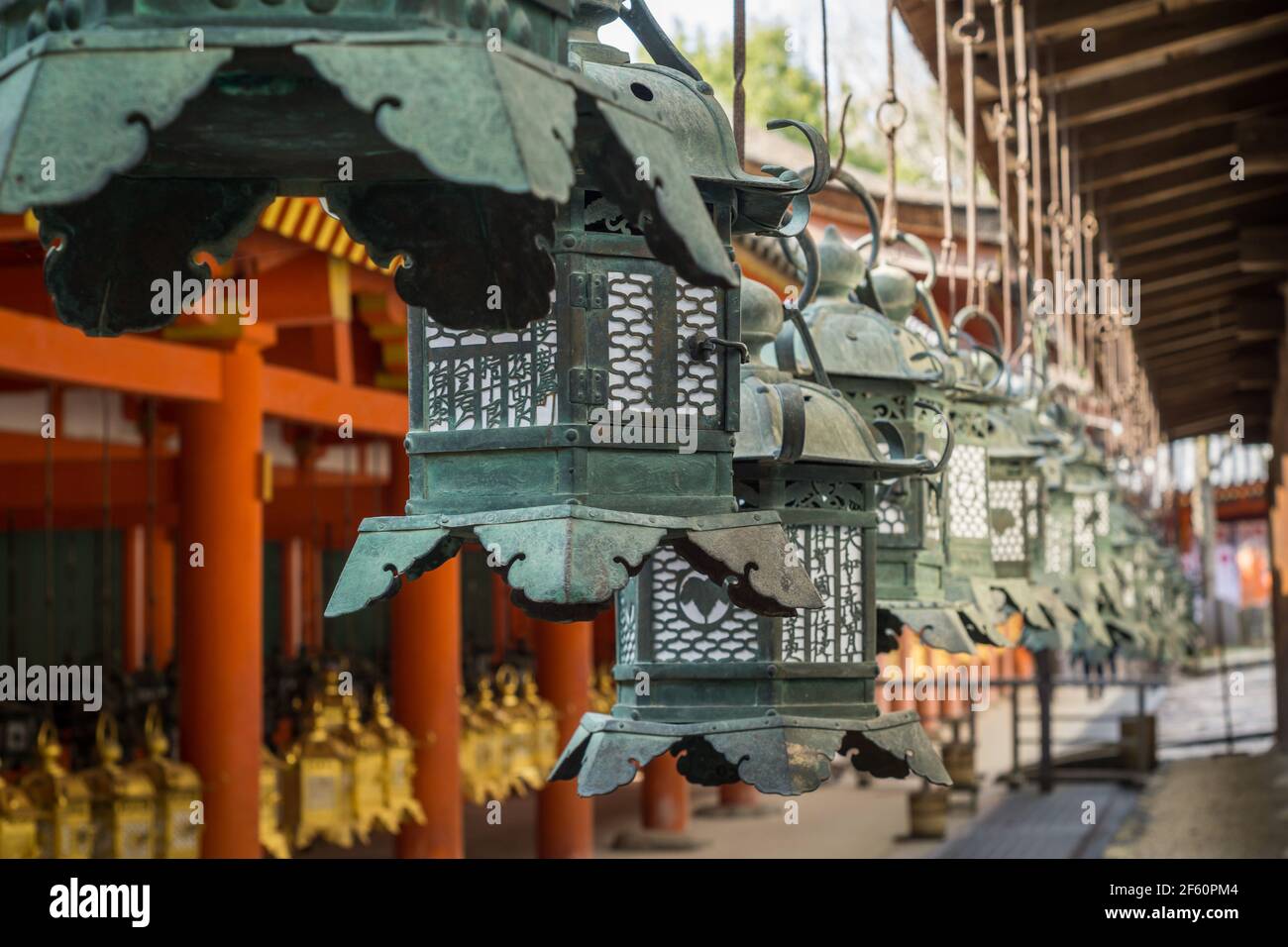 Ornate Japanese copper lanterns hanging outside Kasuga Taisha or Grand Shrine a Shinto shrine in