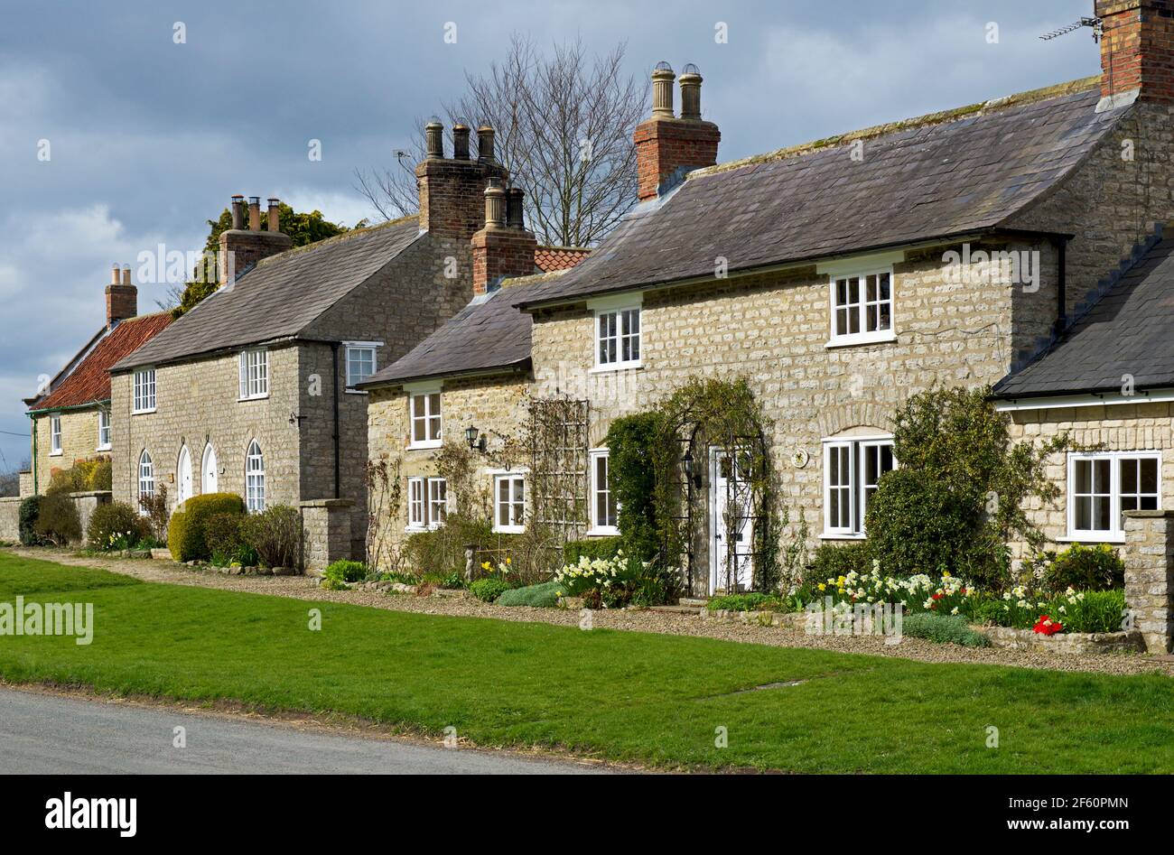 Houses in the village of Langton, North Yorkshire, England UK Stock