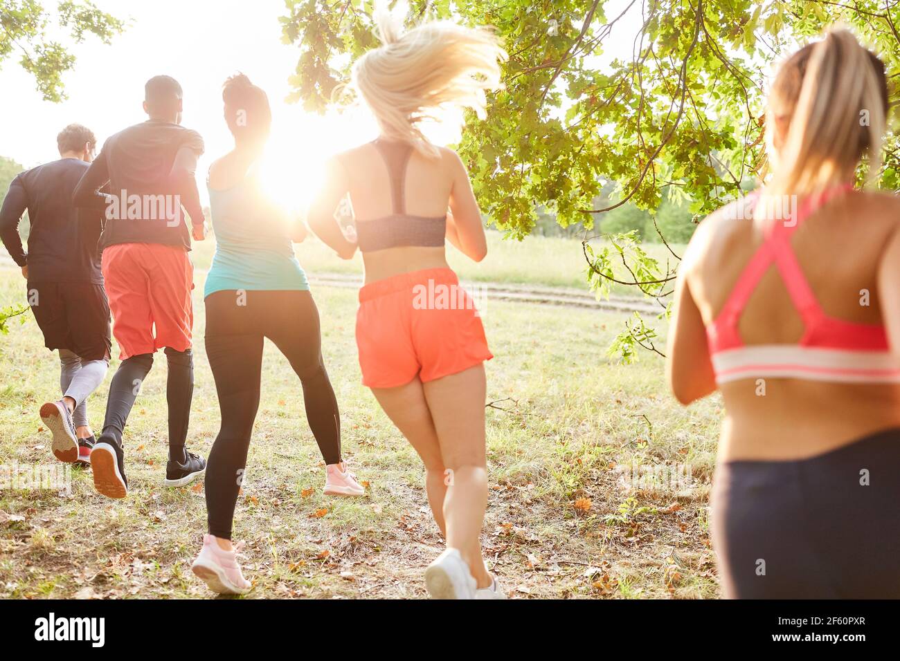 Group of young people trains fitness and endurance while cross-country running in nature Stock Photo