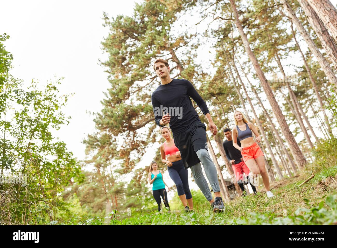 Group of friends at the endurance run in nature in the forest for stamina and fitness Stock Photo