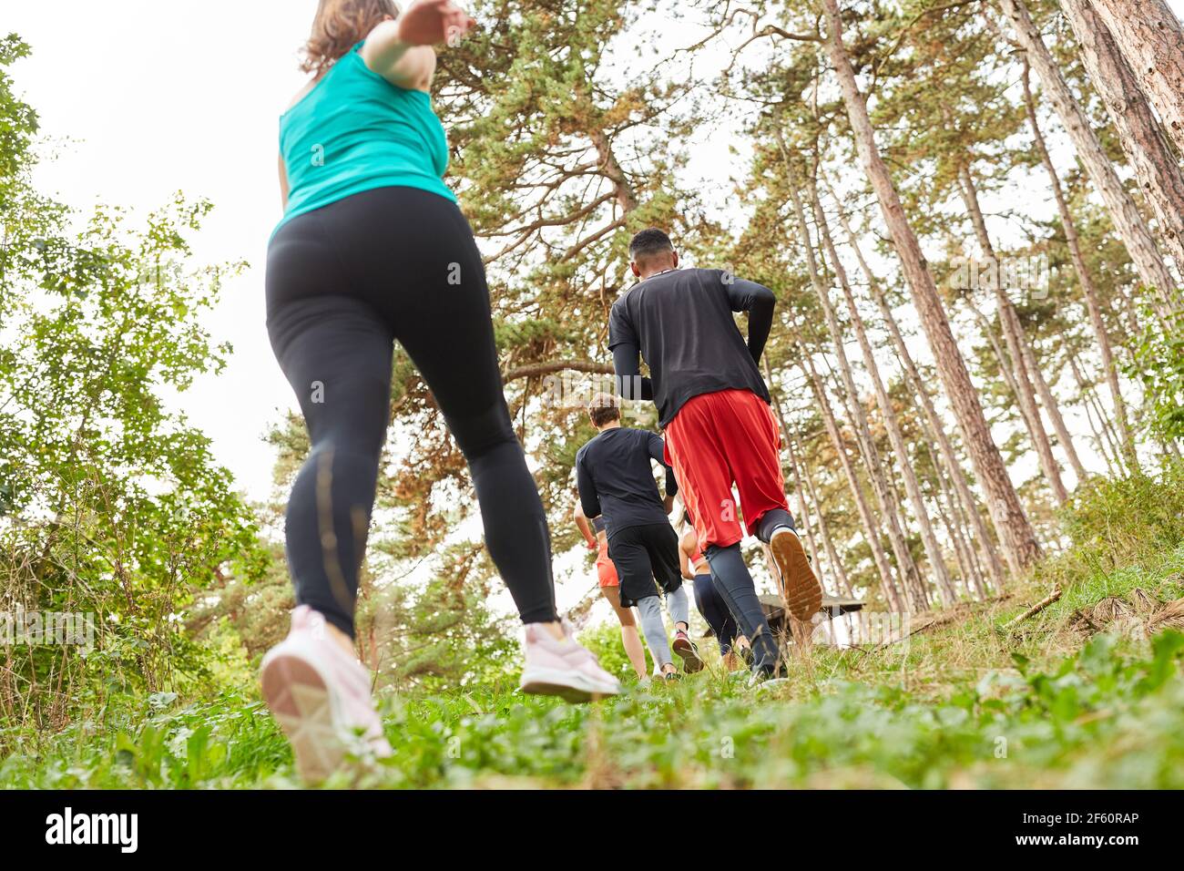 Young people jogging in nature as a cross-country run for endurance and fitness Stock Photo