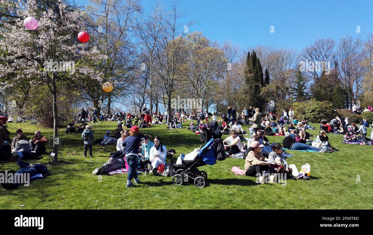Blossom festival and picnic and japan hi-res stock photography and ...