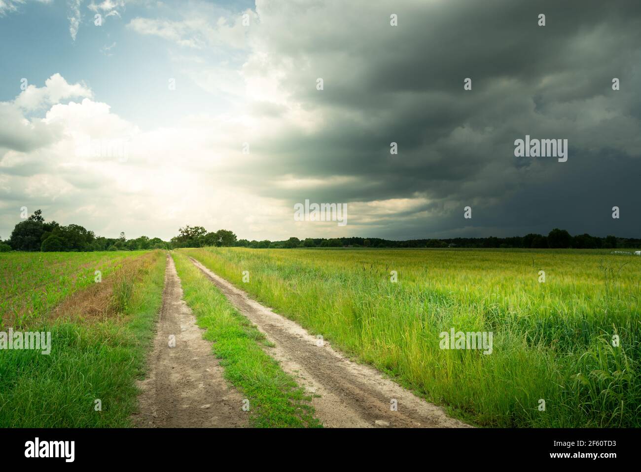 Rural road in a green field, sky glow and stormy cloud Stock Photo - Alamy