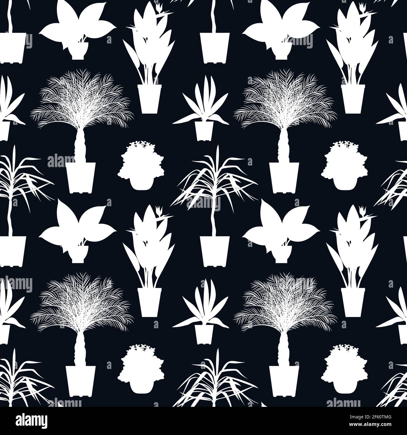 Seamless pattern with white potted tropical house plants silhouettes ...