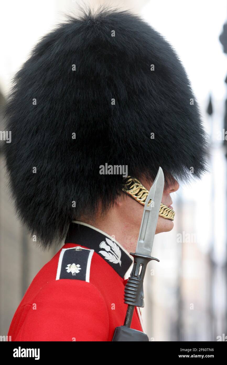21 April 2011. London, England. A Royal Foot Guard, a member of the Scots  Guards stands at sentry duty at Buckingham Palace in the run up to Catherin  Stock Photo - Alamy