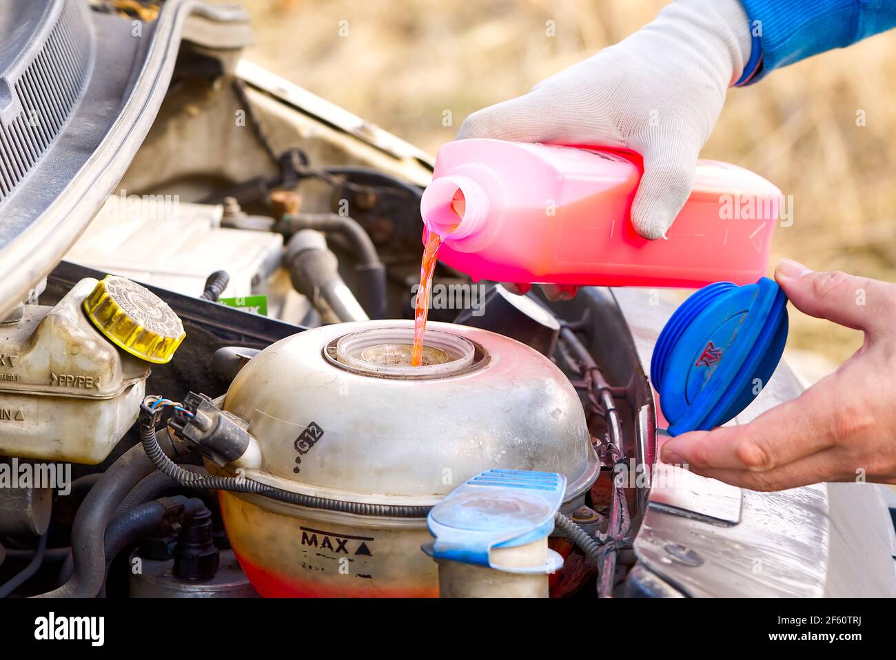 Pouring coolant Service of cars. Pouring antifreeze. Mechanic fills the