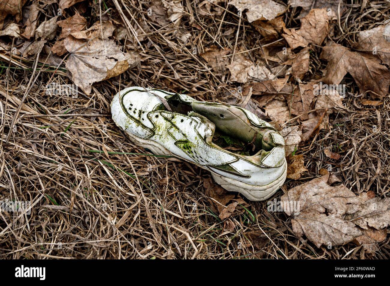 Old torn sneakers in dirty grass Stock Photo