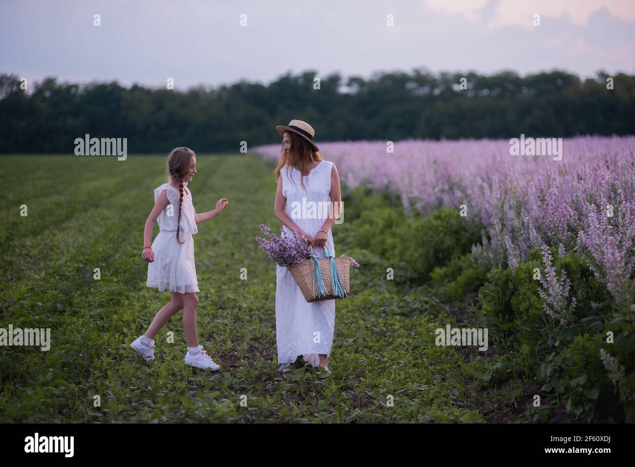 Young mother in white sundress, straw hat hugs little daughter. Girl walk with woman among blooming purple sage field. Motherly care love. Vacation wi Stock Photo