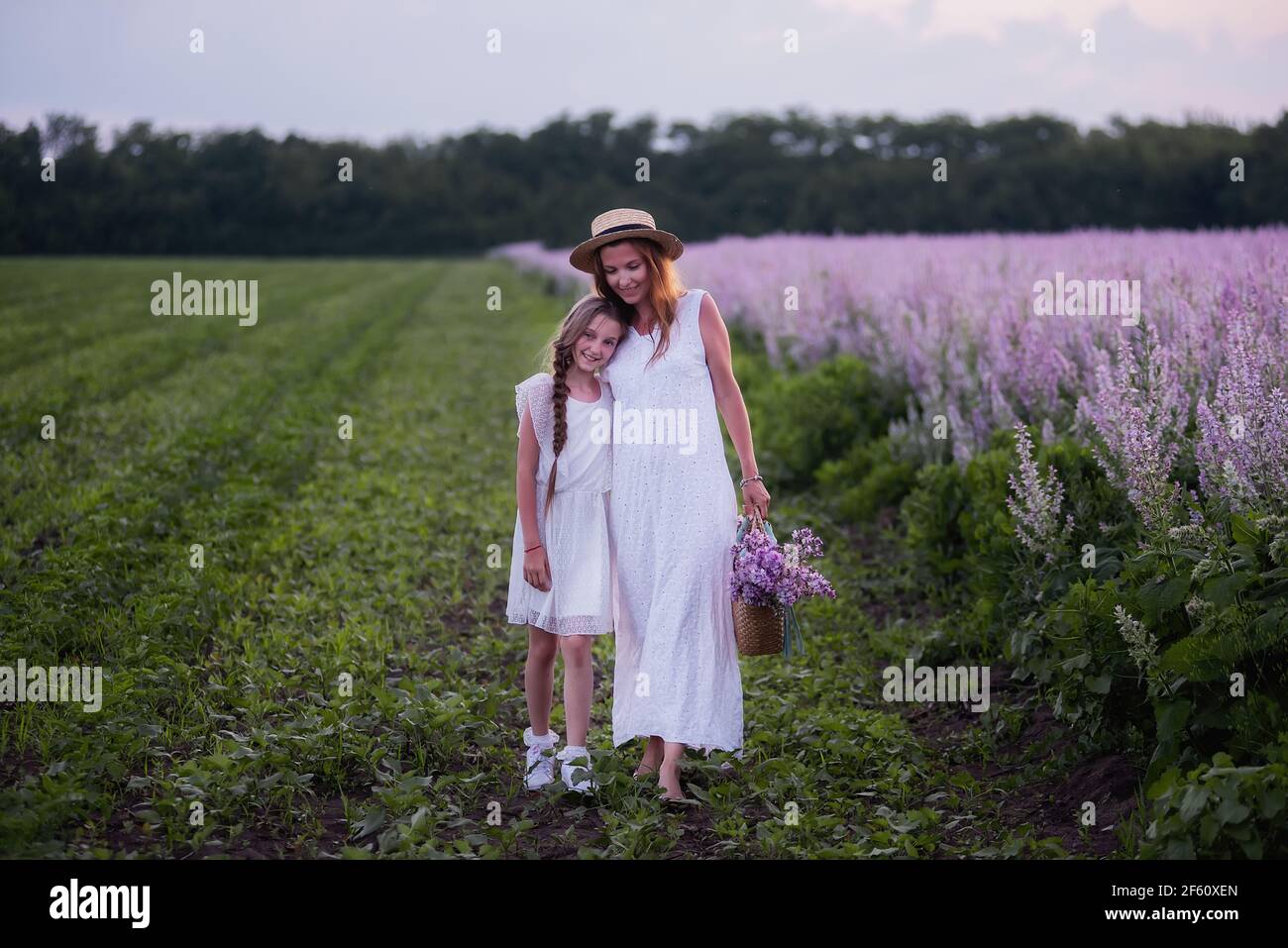 Young mother in white sundress, straw hat hugs little daughter. Girl walk with woman among blooming purple sage field. Motherly care love. Vacation wi Stock Photo