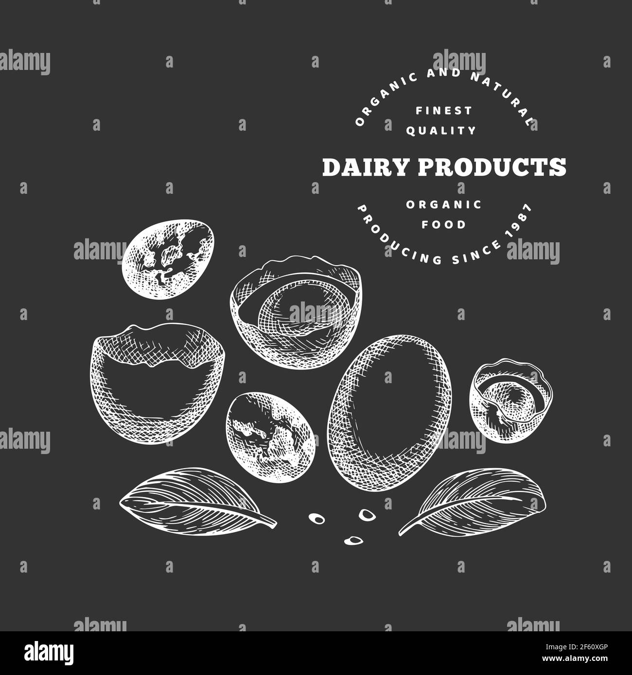 Hand drawn sketch style eggs in container. Organic fresh food vector ...