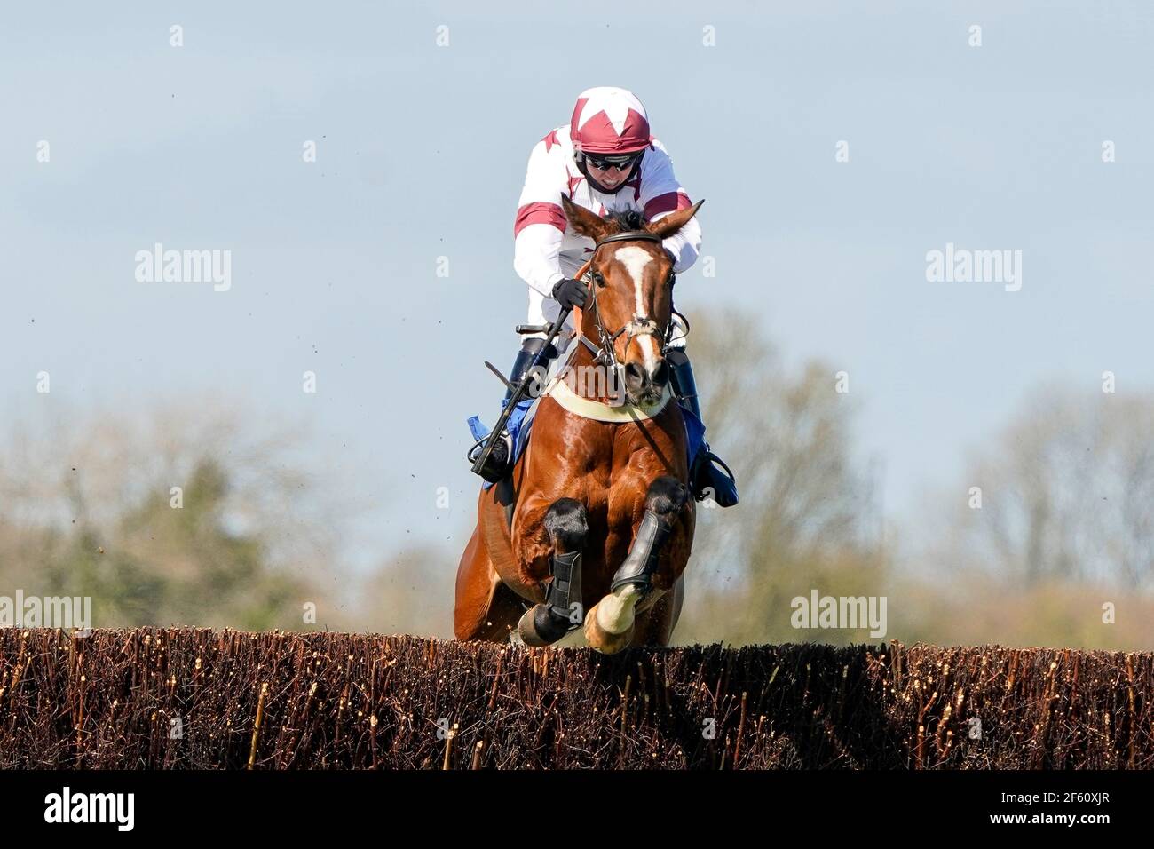 Charlie Hammond riding Counteract clears the last to win The Join Racing TV Now Novices' Handicap Chase at Wincanton Racecourse. Picture date: Monday March 29, 2021. Stock Photo