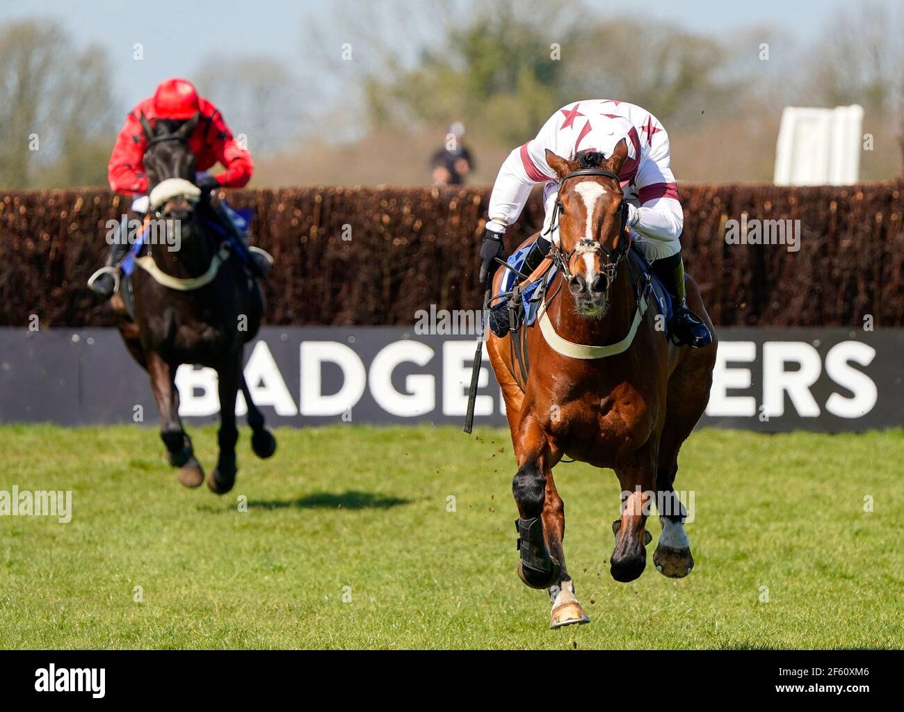 Charlie Hammond riding Counteract (right) clears the last to win The Join Racing TV Now Novices' Handicap Chase at Wincanton Racecourse. Picture date: Monday March 29, 2021. Stock Photo