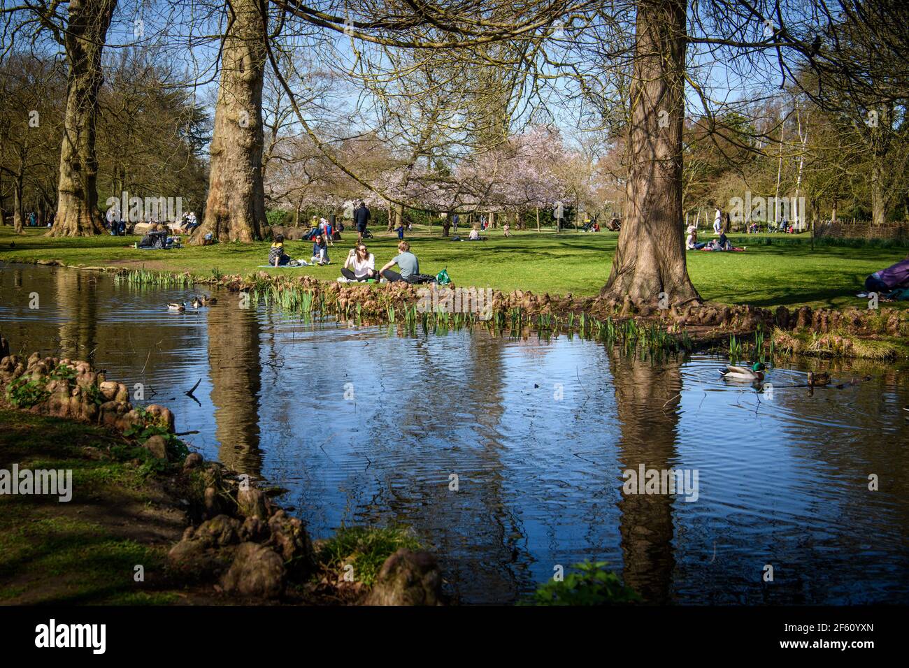 London Uk 29 March 2021 People Enjoy The Spring Weather And The Easing Of England S Lockdown Restrictions Allowing People To Mix Outdoors In Bushy Park West London Picture Date Monday March 29