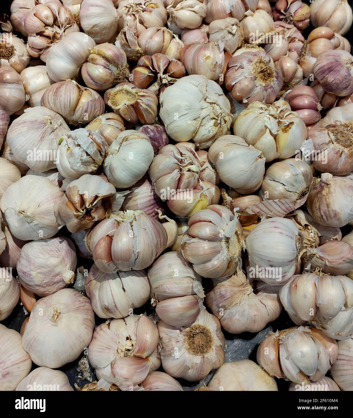 a bunch of garlics on the market Stock Photo - Alamy