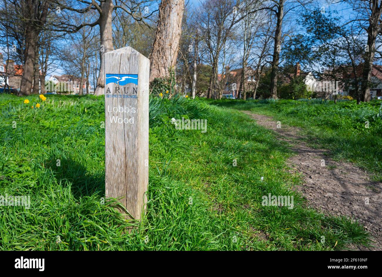 Path through Lobb's Wood in Spring in Littlehampton, West Sussex, England, UK. Stock Photo