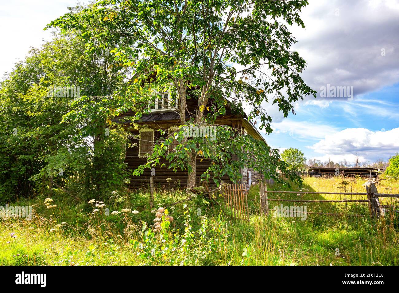 Abandoned old rural wooden house in russian village in summer sunny day ...