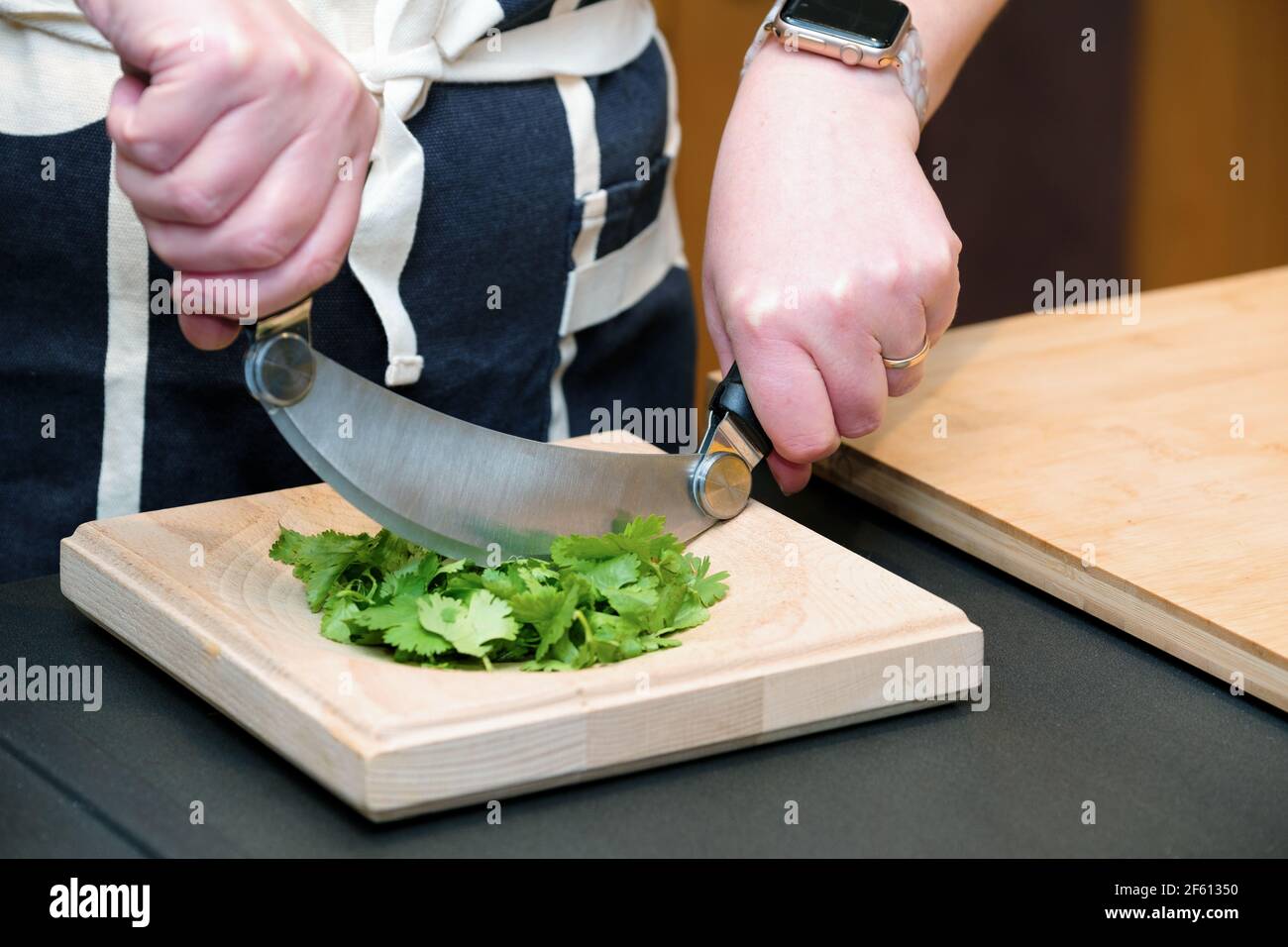 A cook chops fresh herb, coriander, Coriandrum sativum,  in a domestic kitchen using a Hachoir or Ha choir cutter and cutting board Stock Photo