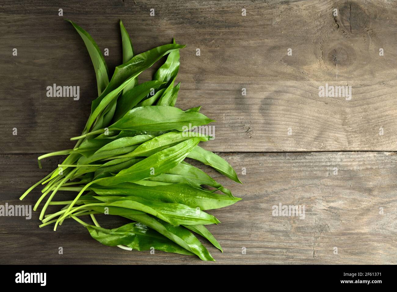 Edible wild garlic, ransoms or Allium ursinum leaves freshly picked in local woodland and laid out on a kitchen table Stock Photo