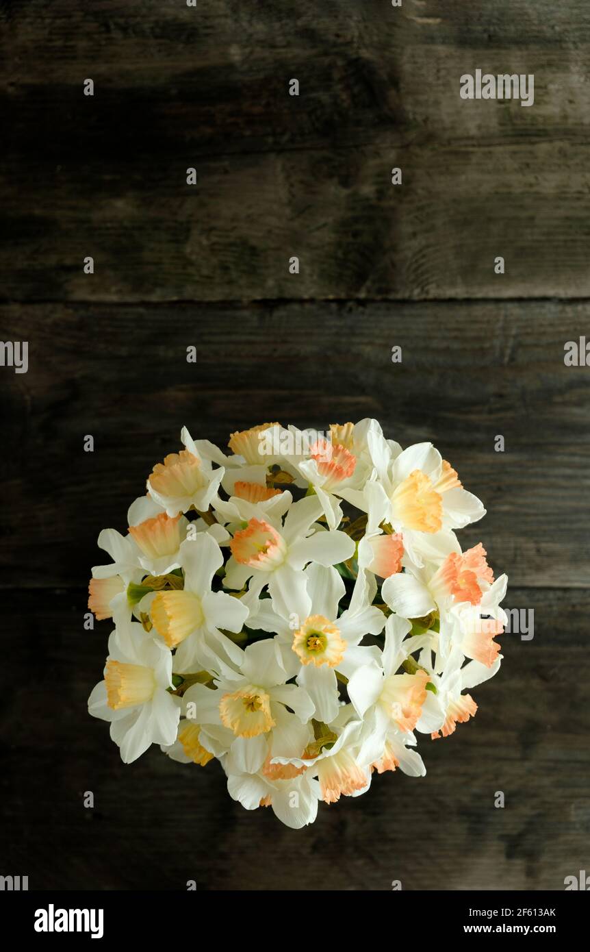 An overhead view of a bunch of yellow and orange daffodils to one side of a dark wooden table Stock Photo