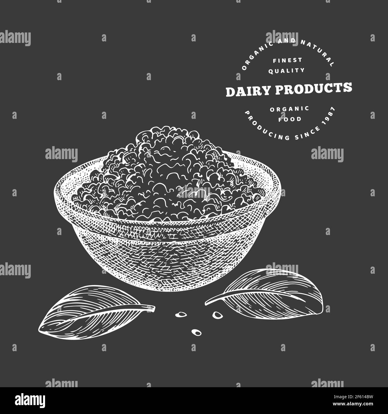 Hand drawn sketch style cottage cheese in bowl. Organic fresh food