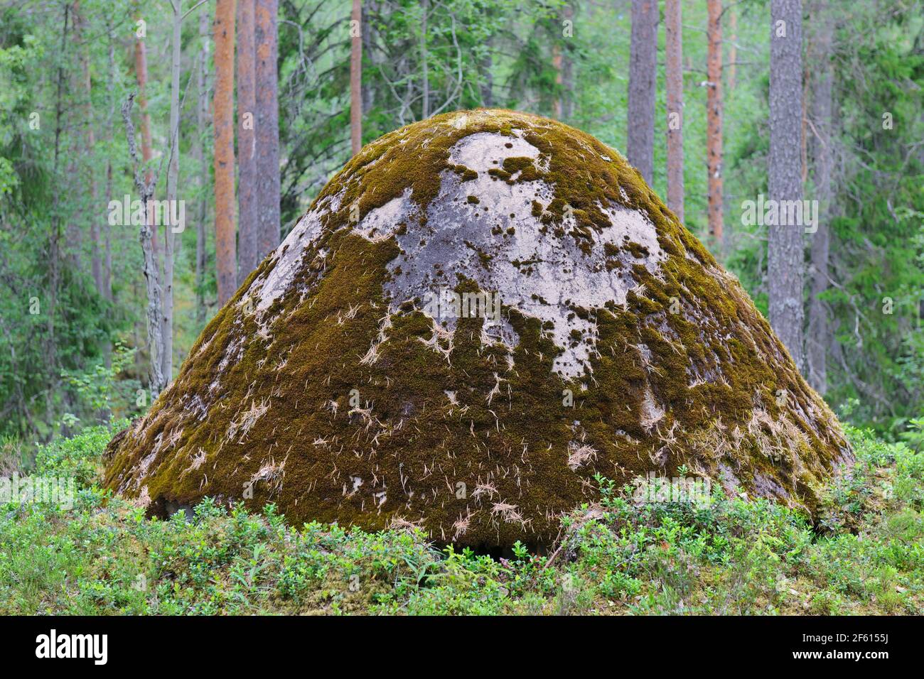 Skans 179, WW II defensive mound. The 