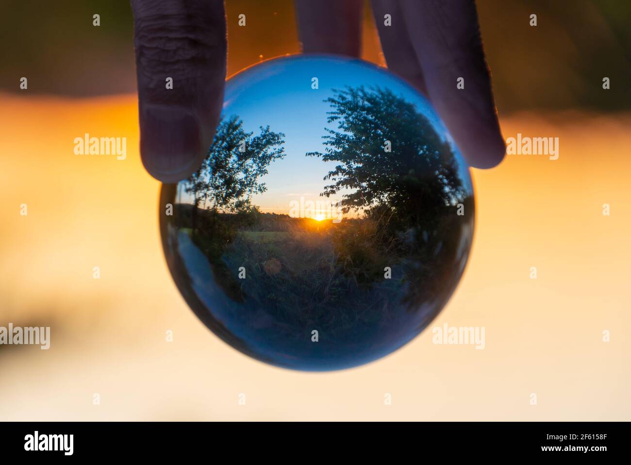 Rural landscape with trees at sunset seen through a crystal ball Stock ...
