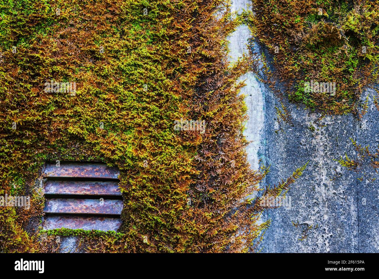 Skans 179, WW II defensive mound. The 