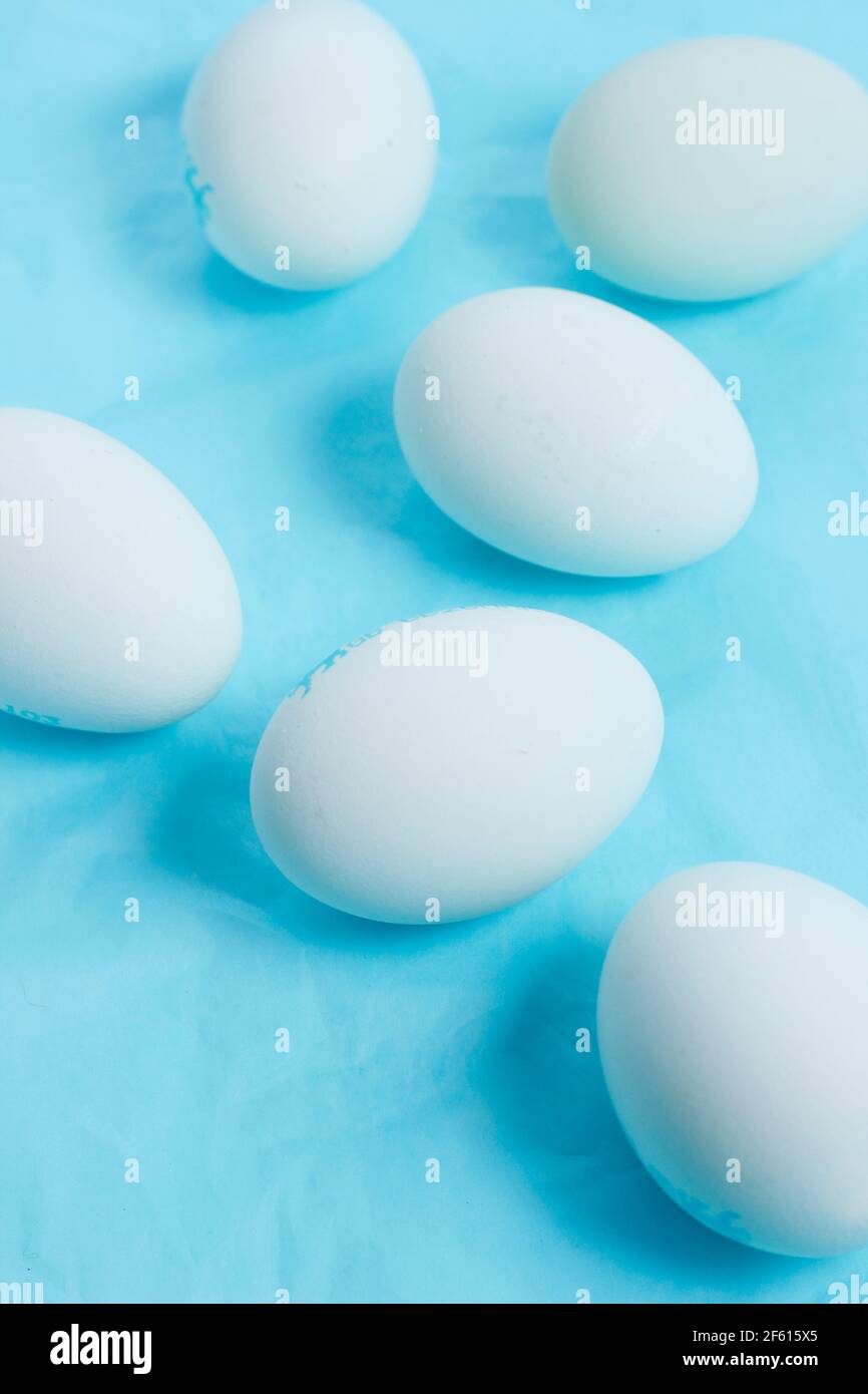 Chicken eggs with natural blue shells displayed on blue background. UK