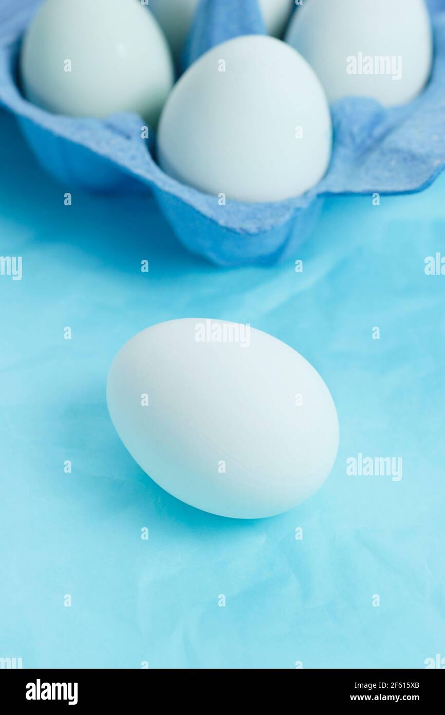 Chicken eggs with natural blue shells in egg box displayed on blue