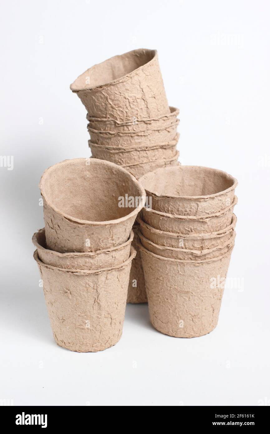 Biodegradable fibre plant pots isolated on white background. UK Stock Photo