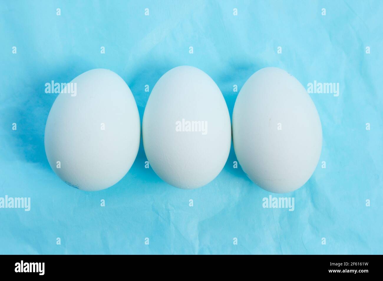 Why Do Eggs Have Blue Shells at Charles Wafford blog