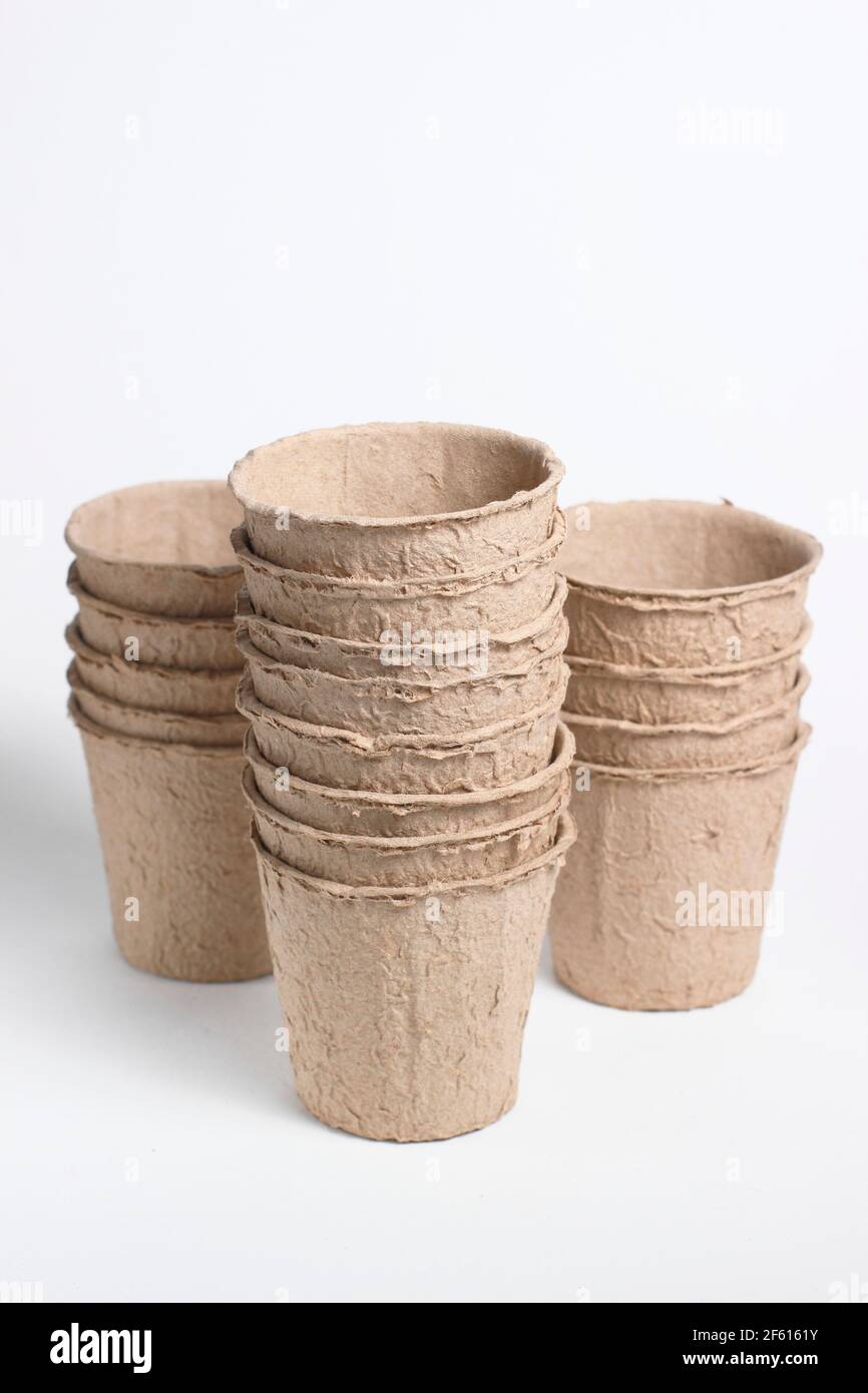 Biodegradable fibre plant pots isolated on white background. UK Stock Photo