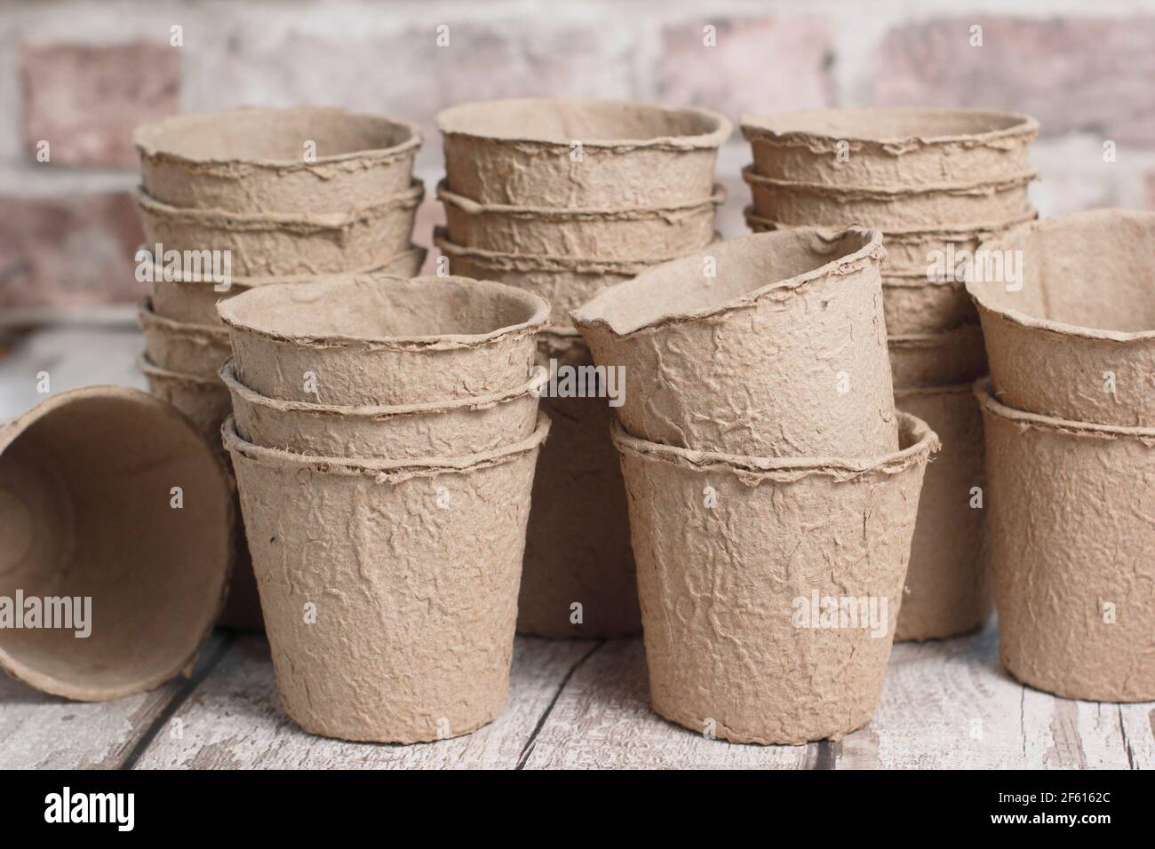 Biodegradable fibre plant pots. Stock Photo