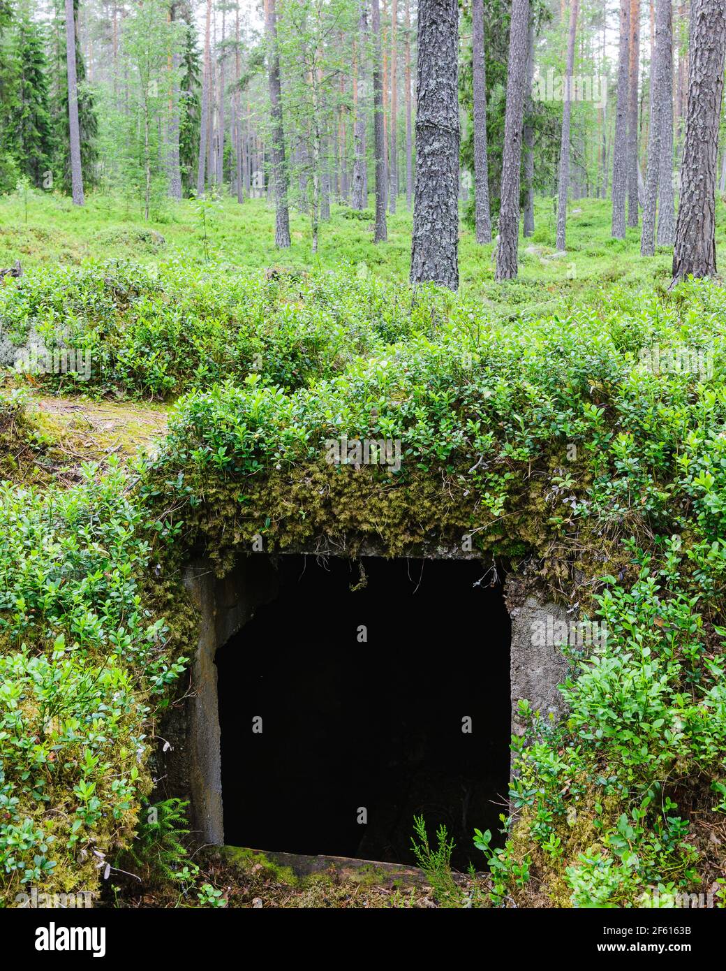 Skans 179, WW II defensive mound. The 