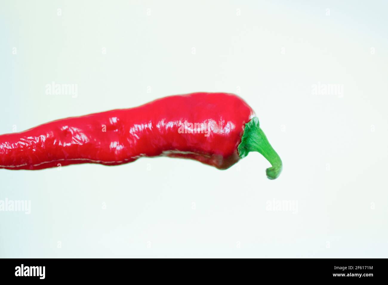 Long Red hot chili pepper facing right in a horizontal image with studio lighing Stock Photo
