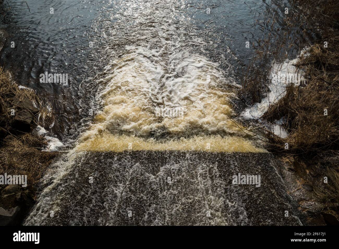 The water of the fast wild river falls from the concrete locks forming a waterfall and flows into the lake. water forms a white foam. A warm spring Stock Photo