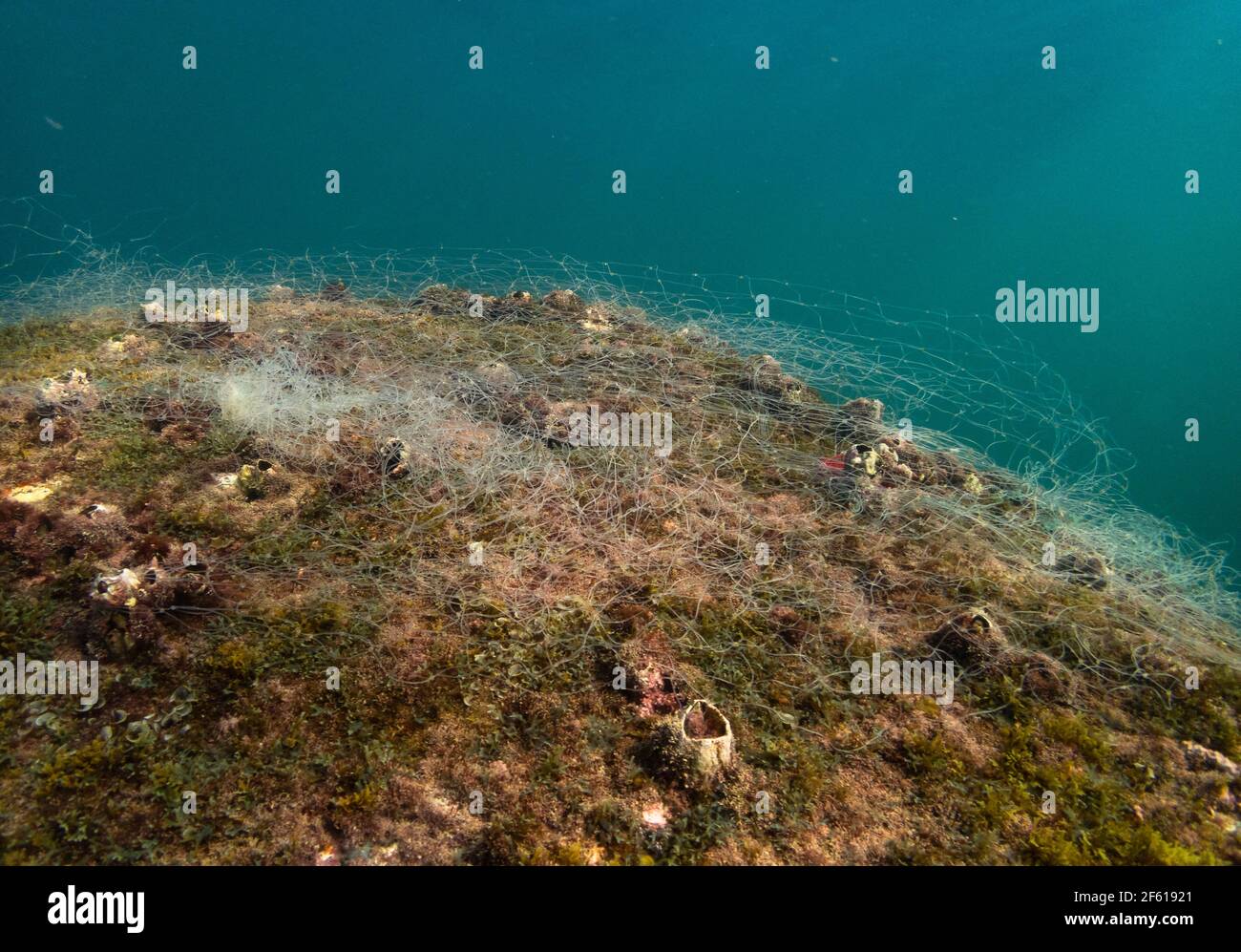 A discarded/lost fishing net causes ghost fishing in SE Brazil Stock Photo