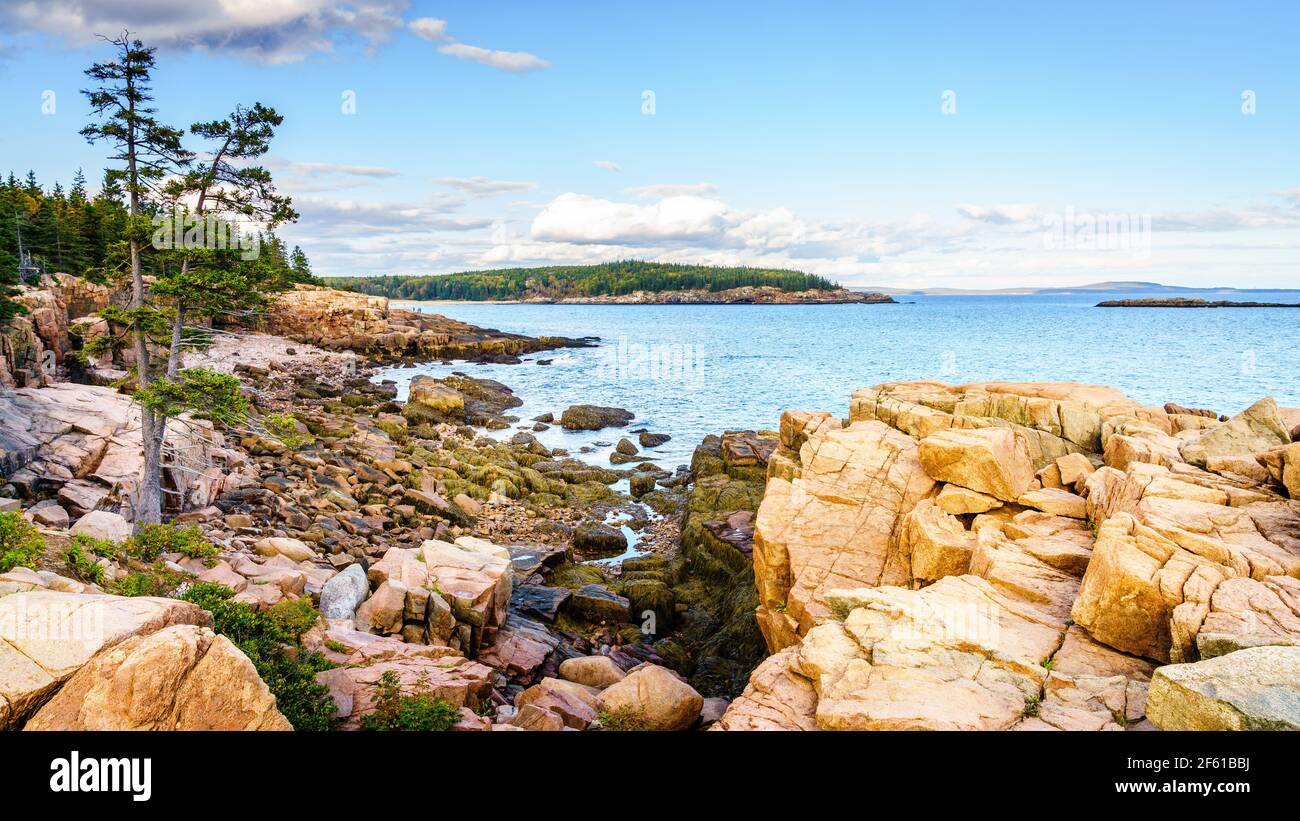 Rocky coastline in Acadia National Park in Maine at low tide Stock Photo