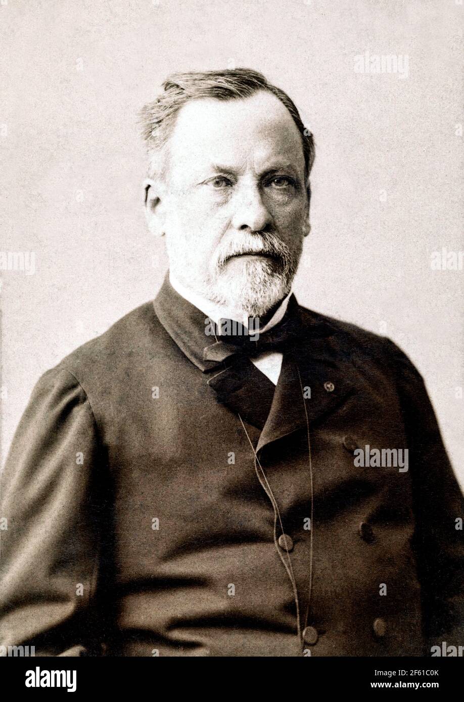 Louis Pasteur, French Microbiologist Stock Photo
