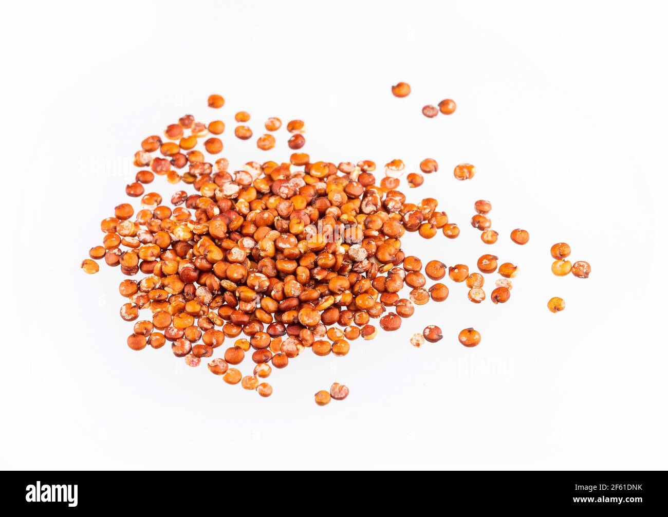 Red seeds of organic quinoa Chenopodium quinoa. White background
